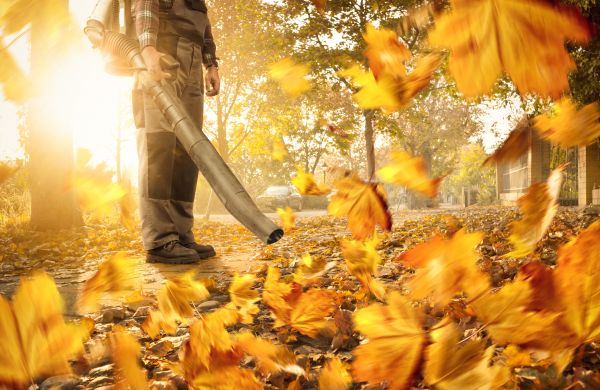 Leaf Blowing Service in Kent