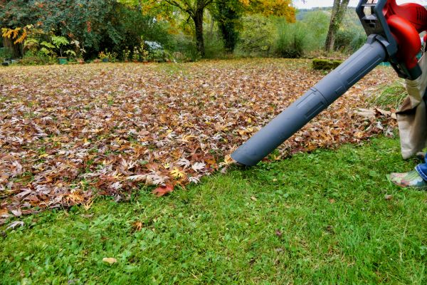 Leaf Vacuuming Service in Kent