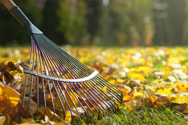 Leaf Raking Service in Kent