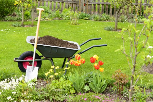 Spring Yard Cleanup in Kent