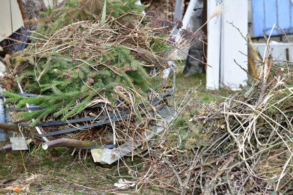 Yard Waste Removal Service in Kent