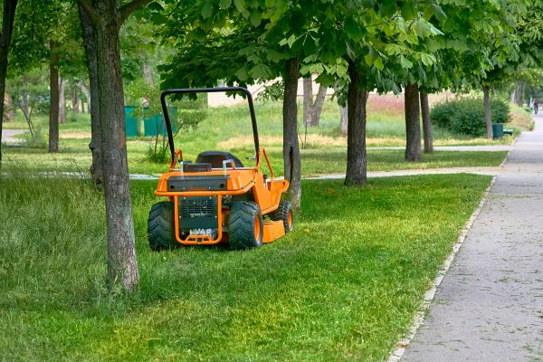 Landscaping Cleanup Service in Kent