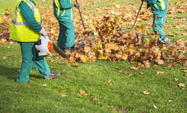 Leaf Maintenance in Kent