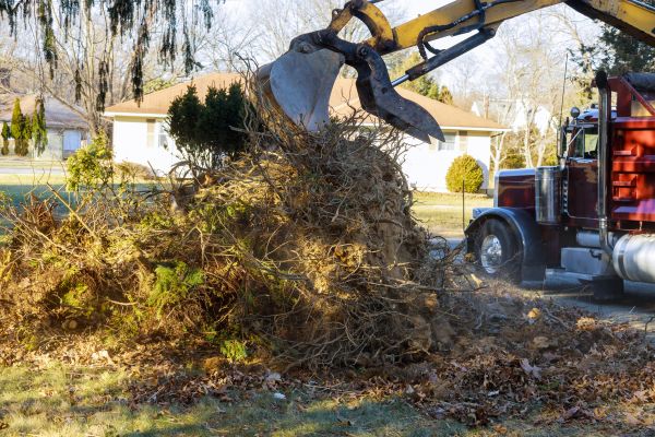 Storm Debris Removal in Kent