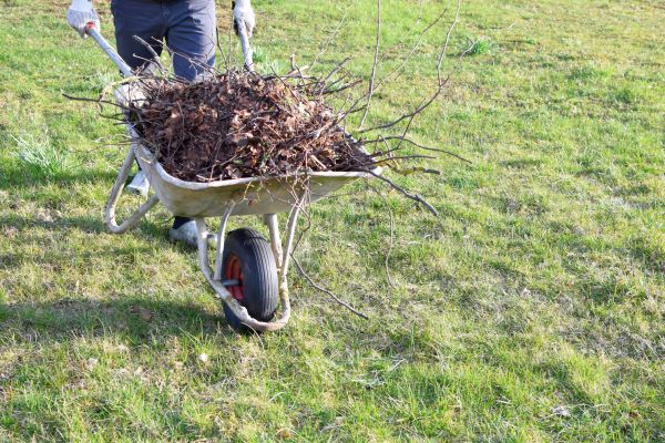 Yard Brush Removal in Kent