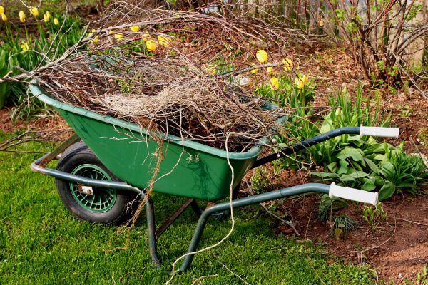Lawn Waste Removal in Kent