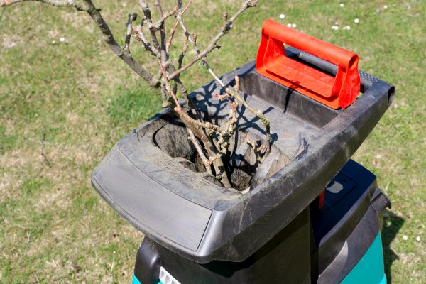 Brush Cleanup Service in Kent