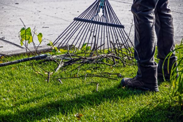 Yard Debris Cleanup in Kent