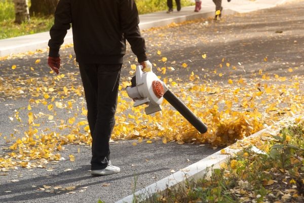 Commercial Leaf Removal in Kent