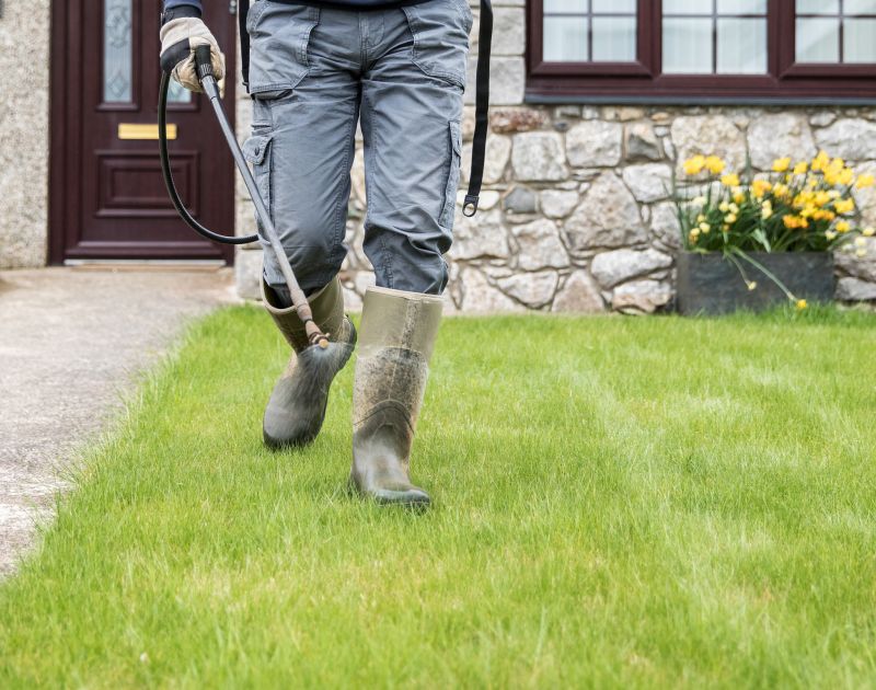 Professional Yard Cleanup at Work