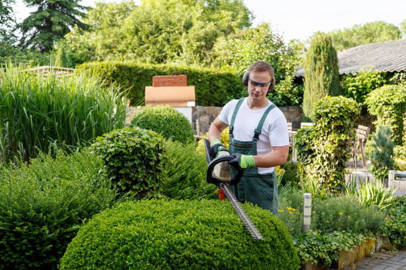 Expert Tree and Shrub Care